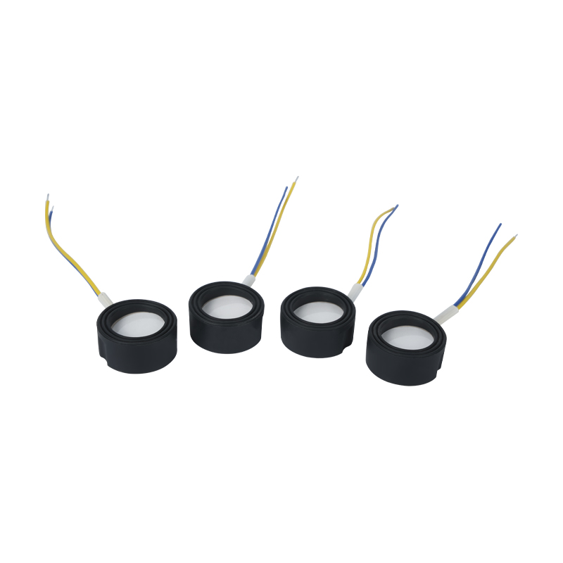 25 mm 1,7 mhz Atomización ultrasónica de alta frecuencia Baño de pies Wigwam Nube Niebla Paisajismo Gran cantidad de atomización Transductor cerámico piezoeléctrico Atomizador oscilante Alta potencia 220v36w