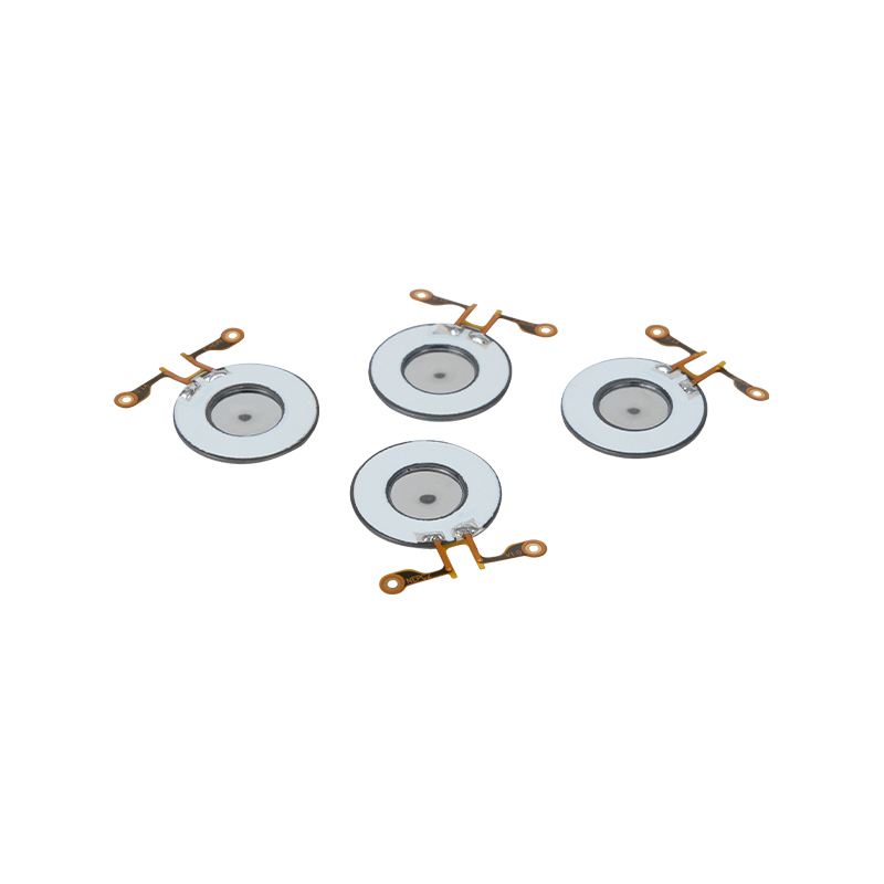 Tableta nebulizadora de malla médica de acero inoxidable de 16 mm Tableta nebulizadora de malla ultrasónica Tableta nebulizadora con transductor ultrasónico Diseño de partículas medianas de 3μm5μm, tratamiento con nebulizador de inhalación médica Disco nebulizador Protección del medio ambiente Rohs