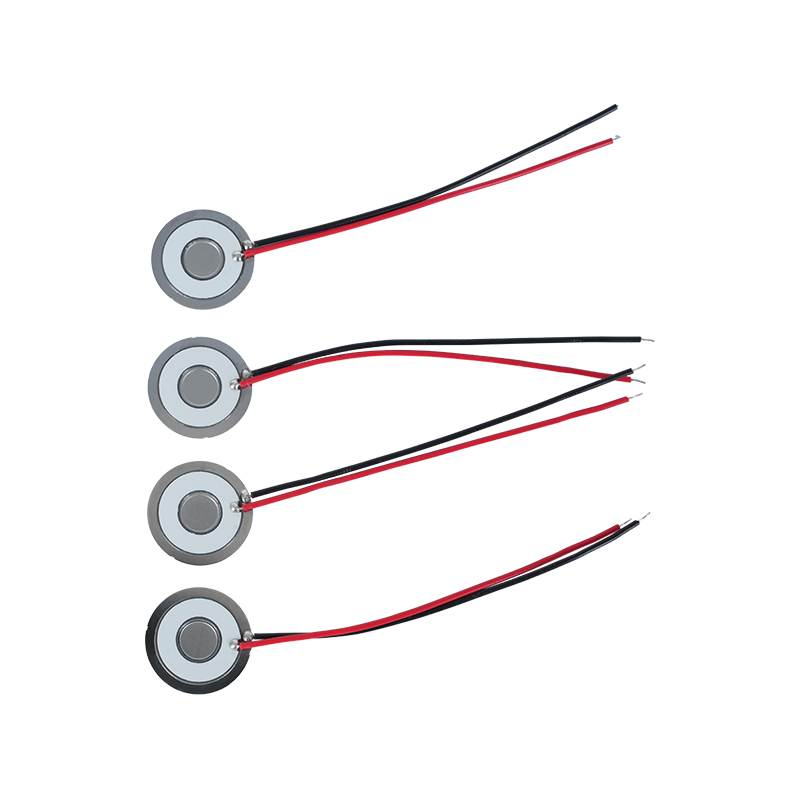 Φ20 Frecuencia de disco atomizador 111khz304 Micro malla de acero inoxidable Malla de disco atomizador Hoja atomizadora Aire acondicionado Enfriador Refrigerador Humidificación fresca Malla Atomizadora Hoja dispersora Tasa de atomización>800 ml/H