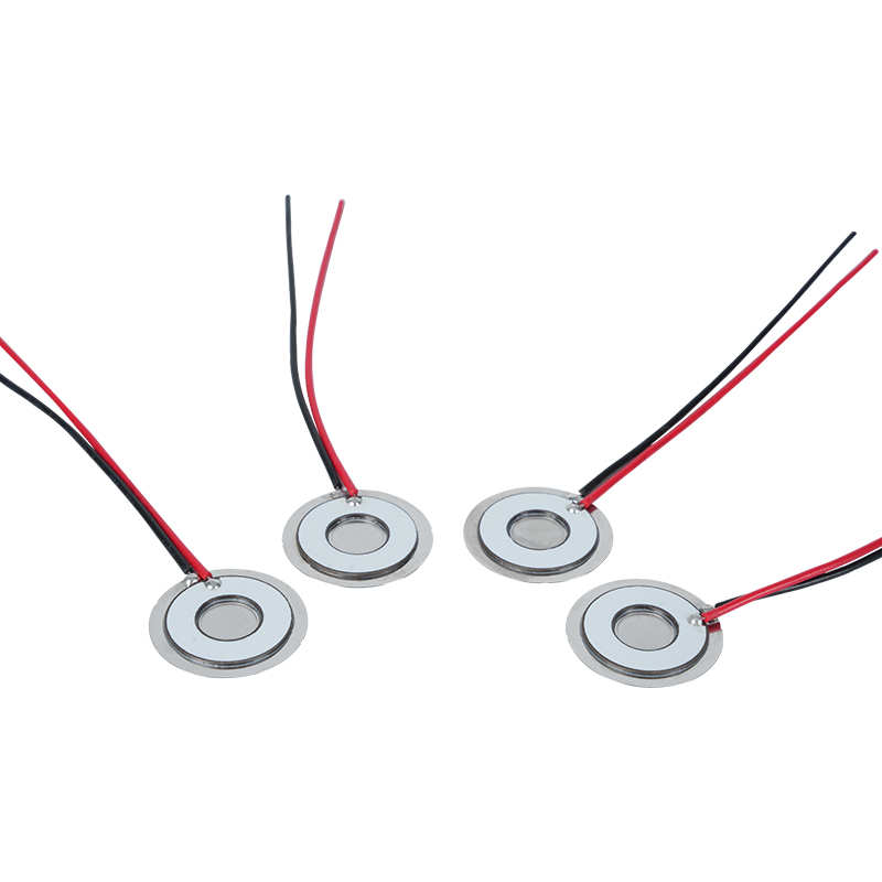 Φ20 Frecuencia de disco atomizador 111khz304 Micro malla de acero inoxidable Malla de disco atomizador Hoja atomizadora Aire acondicionado Enfriador Refrigerador Humidificación fresca Malla Atomizadora Hoja dispersora Tasa de atomización>800 ml/H