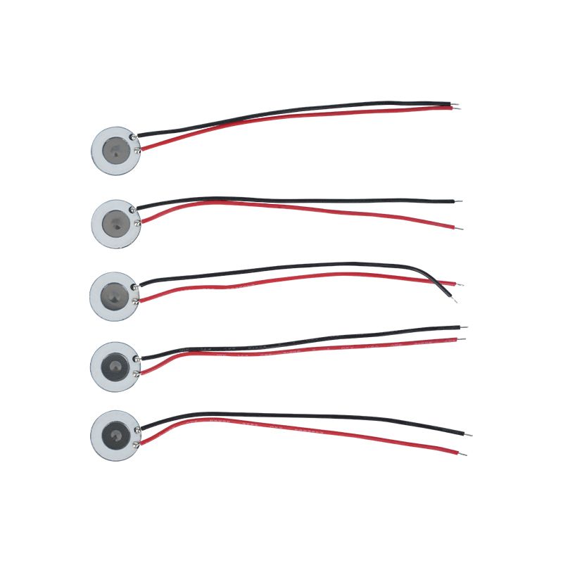 Atomizador microporoso de acero inoxidable de 10 mm Instrumento de hidratación de belleza Aerosol oral Aerosol de perfume Humidificación Desinfección Atomizador de malla También se aplica a dispositivos electrónicos para dejar de fumar y otros productos