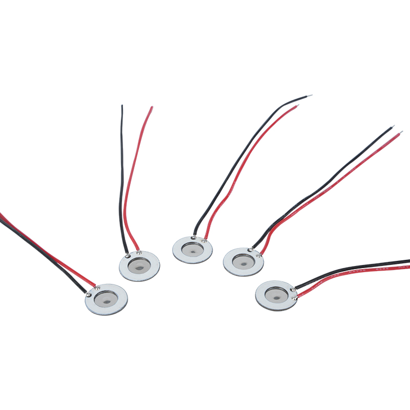 Atomizador microporoso de acero inoxidable de 10 mm Instrumento de hidratación de belleza Aerosol oral Aerosol de perfume Humidificación Desinfección Atomizador de malla También se aplica a dispositivos electrónicos para dejar de fumar y otros productos